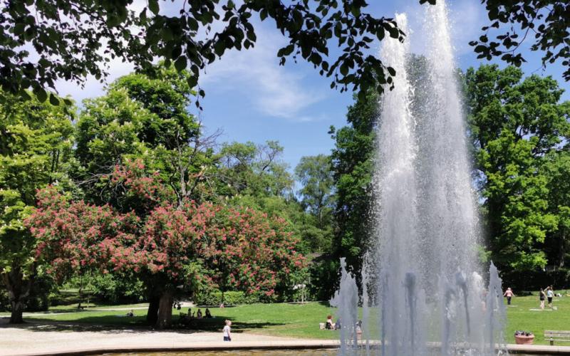 Stadtparklauf